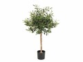 Botanic-Haus Kunstpflanze Olivenbaum 89 cm, Produkttyp: Topfpflanze