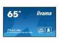 iiyama ProLite LH6560UHS-B1AG - 65" Diagonal Class (64.5" viewable