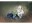 Bild 1 amiplay Beutelspender Denim, 9 x 5 x 4 cm