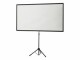 Celexon Stativleinwand Ultra-Lightweight 194 x 121 cm 16:10