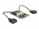 Immagine 3 DeLock - MiniPCIe I/O PCIe full size 2 x USB 2.0