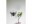 Image 1 Star Trading Gartenlicht Solar Butterfly, Schwarz, Betriebsart