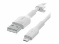 BELKIN BOOST CHARGE - Câble Lightning - USB mâle