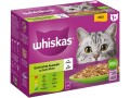 Whiskas Nassfutter Gemischte Auswahl in Gelee 1+, 12 x