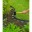 Bild 3 Nature Rasenkante 5cmx10m Grau