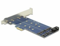 DeLOCK - PCI Express Card > 2 x internal M.2 NGFF