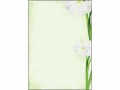 Sigel Motivpapier Green Flower A4, 25 Blatt, Papierformat: A4