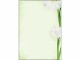 Sigel Motivpapier Green Flower A4, 25 Blatt