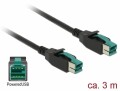 DeLock USB 2.0-Kabel Powered USB 12 Volt - Powered