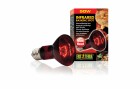 Exo Terra Terrarienlampe Infrared Basking Spot E27, R20/50W