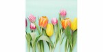Braun + Company Papierservietten Rainbow Tulips 33 cm x 33 cm