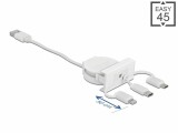 DeLock Easy 45 Modul USB A - Lightning/Micro-USB B/USB