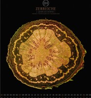 ACKERMANN MikroGrafia Pflanzen 2024 2418 DE Multicolor, 48x54cm