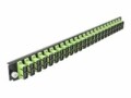 DeLock Verteilerplatte Frontblende 24 Port