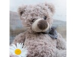 Natur Verlag Glückwunschkarte Teddybär 13.5 x 13.5 cm, Papierformat