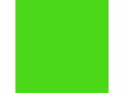 Talens Plakatfarbe Ecola 500 ml, hellgrün, Art: Plakatfarbe