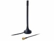 Teltonika Antenne Bluetooth, RP-SMA