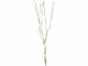 Star Trading Zweig Willow Dewdrop, 24 LEDs, 60 cm, Natur