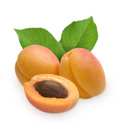 Apricot - Aprikose