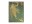 Bild 0 Paperblanks Notizbuch Olive Fairy 9.5 cm x 14 cm