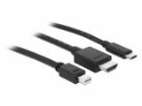 DeLock Adapter 85830 USB-C, HDMI oder Mini-DP zu HDMI