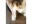 Bild 1 pearhead Stempelkissen Haustiere, Schwarz, Bildformat: Keine