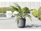 Ecopots Pflanzentopf Oslo 35 Grau, Volumen: 21.7 l, Material