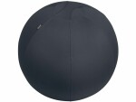 Leitz Ergo Active Sitzball 65 cm, Bewusste Eigenschaften: Keine