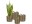 Bild 7 scheurich Pflanzengefäss mit Griffen 22 x 19.5 cm
