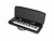 Bild 1 UDG Gear Transportcase Creator für 49-Tasten-Keyboards