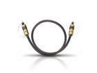 Oehlbach Audio-Kabel Hyper Profi Opto 100 Toslink - Toslink