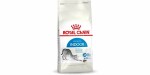 Royal Canin Trockenfutter Indoor 27, 10 kg, Tierbedürfnis: Verdauung