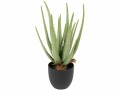 Botanic-Haus Kunstpflanze Aloe im Topf 38 cm, Produkttyp: Topfpflanze