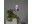 Bild 2 Star Trading Leuchtmittel LED Pflanzen GU10, 3.5 W, 42 lm