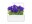 Immagine 2 Click and Grow Saatgut Blaue Petunie 3er-Pack, Bio: Nein, Blütenfarbe