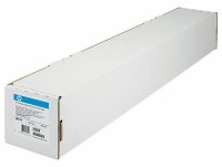 Hewlett-Packard HP Papier gestrichen 130g 30m C6030C DesignJet 5000 36