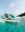 Bild 1 GoPro Surfboard Mounts