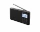 Sony DAB+ Radio XDR-S41D Schwarz, Radio