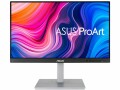 Asus Monitor PA247CV, Bildschirmdiagonale: 23.8 ", Auflösung