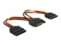 DeLock DeLOCK - Stromkabel - 15 PIN SATA Power -