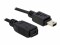 Bild 4 DeLock USB 2.0-Verlängerungskabel Mini-USB B - Mini-USB B
