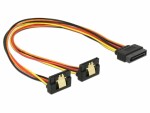 DeLock Y-Stromkabel SATA - 2x SATA 30 cm, Kabeltyp