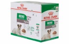 Royal Canin Nassfutter Health Nutrition Mini Ageing 12+ Sauce, 12