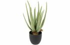Botanic-Haus Kunstpflanze Aloe im Topf 38 cm, Produkttyp: Topfpflanze