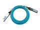 Hewlett-Packard  HPN AOC Cable X2A0 10m 100G