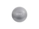 Schildkröt Fitness Gymnastikball 55 cm, Durchmesser: 55 cm, Farbe: Silber