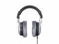 Beyerdynamic Over-Ear-Kopfhörer DT 880 Edition 250 ?, Silber