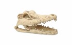 Repti Planet Dekoschädel Krokodil, Produkttyp Terraristik: Versteck