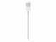 Apple - Lightning-Kabel - Lightning männlich zu USB