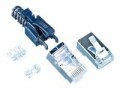 Wirewin Stecker RJ45 KAT6A Securelock 10 Stück, Schwarz